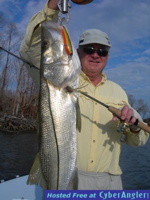 Capt. Ariel gives another shot at classic snook fishing for a client.
