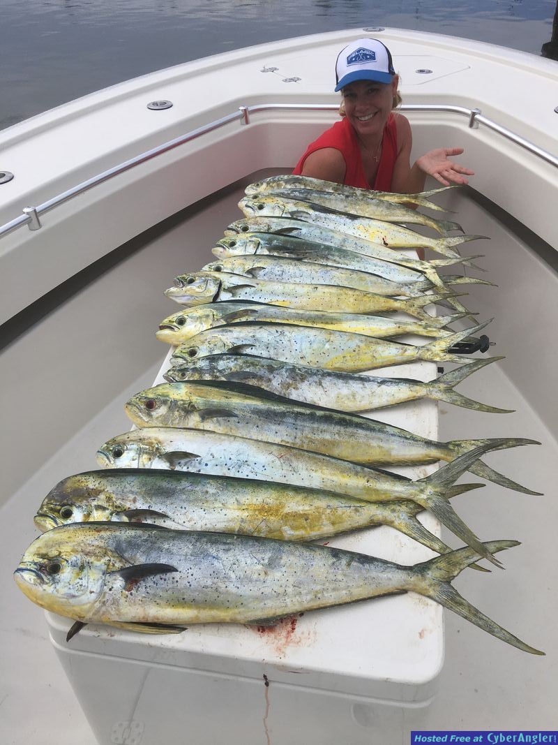 Click to Enlarge Photo