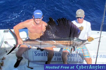 14_Sailfish_2