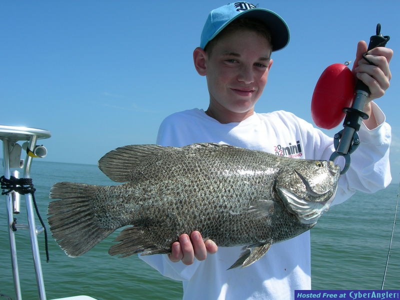 Jacob's tripletail.