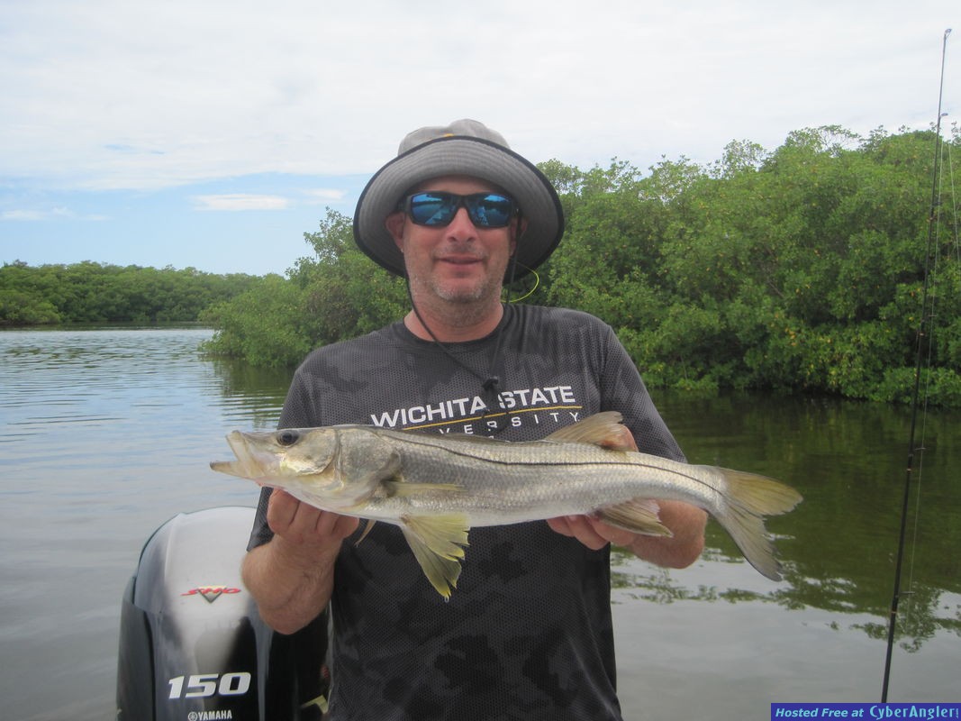 24-inch snook released