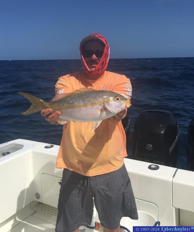 Click to Enlarge Photo