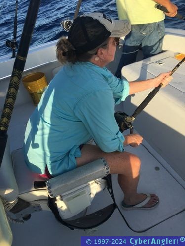 Click to Enlarge Photo