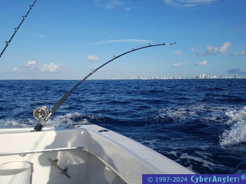 Click to Enlarge Photo