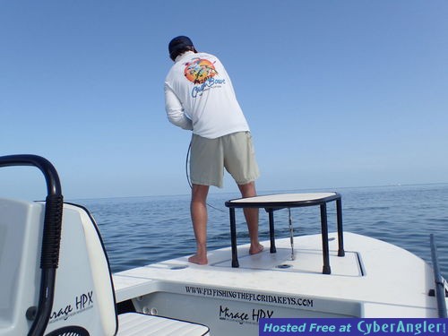 Click to Enlarge Photo