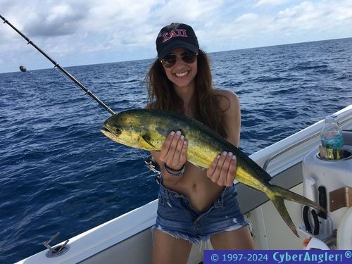 Click to Enlarge Photo