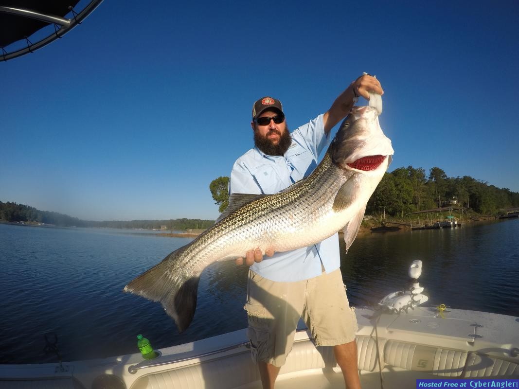 The Lake Co Smith Lake - Smith lake Vidor Tx - YouTube : Check spelling or type a new query.