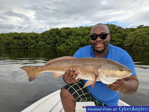 Redfish