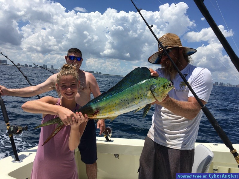 mahi