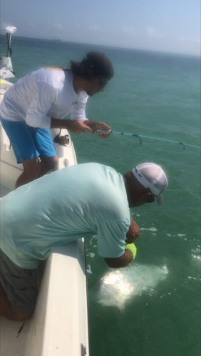 Click to Enlarge Photo