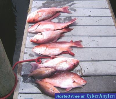 Click to Enlarge Photo