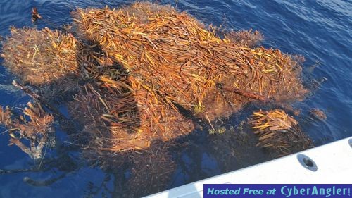 Click to Enlarge Photo