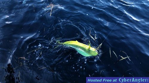 Click to Enlarge Photo