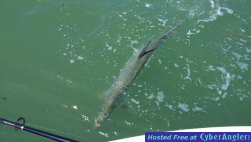 Click to Enlarge Photo