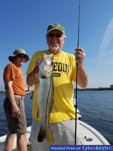 Snook_fishing_trip_guided_charters_in_Safety_harbor_florida