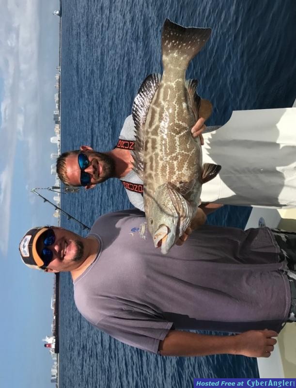 Black_Grouper