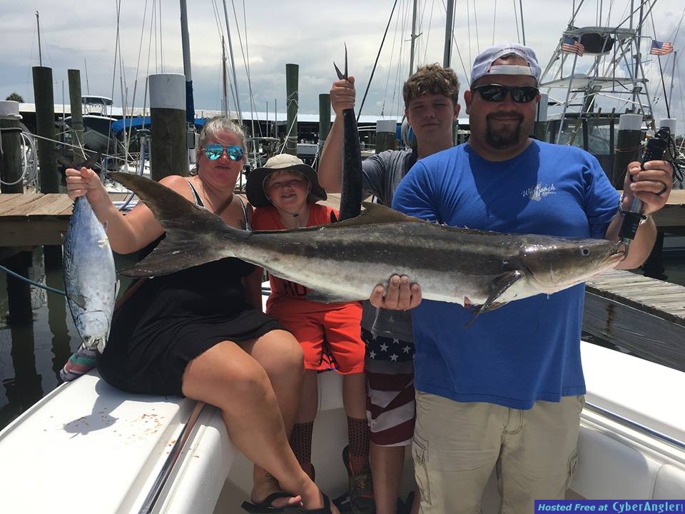 cobia