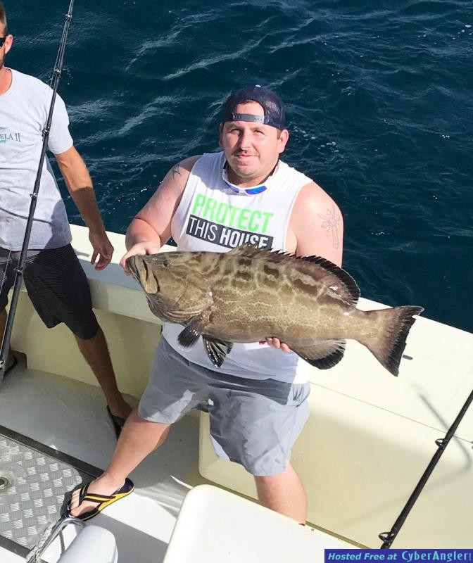black_grouper