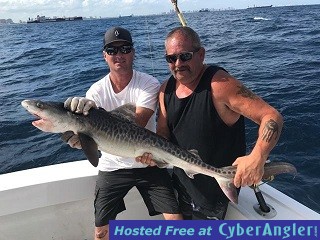 Tiger_Shark_Bob2_s