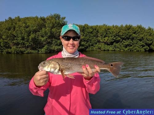 Click to Enlarge Photo