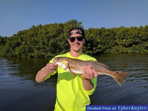 Click to Enlarge Photo