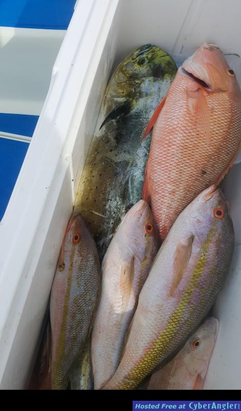 irmafish_www_floridakeysfishin_com