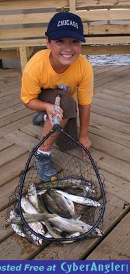 Click to Enlarge Photo