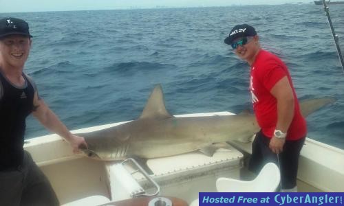 Click to Enlarge Photo