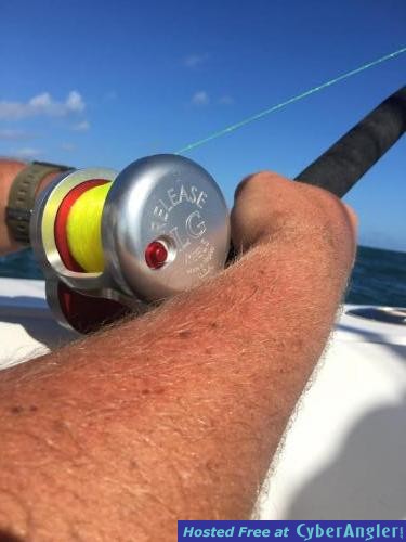 offshore_fishing_report_ponce_inlet