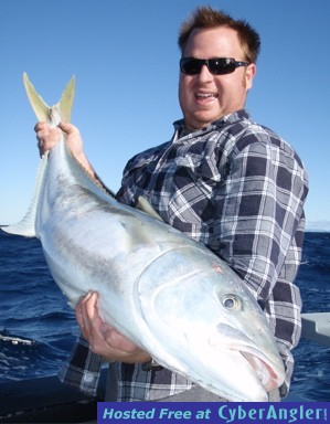 New Zealand kingfish caught with Epic Adventures