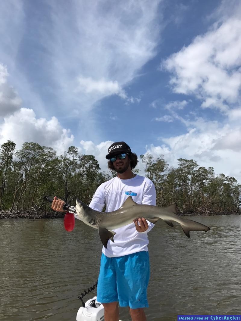 Click to Enlarge Photo