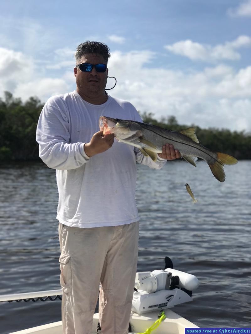 Click to Enlarge Photo