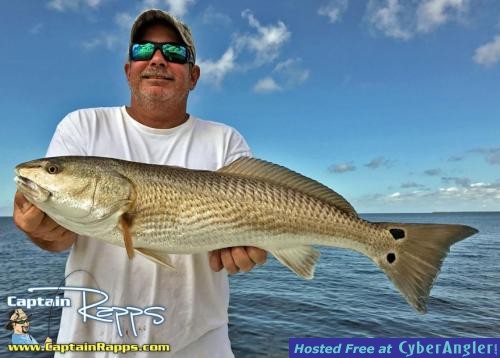 Click to Enlarge Photo