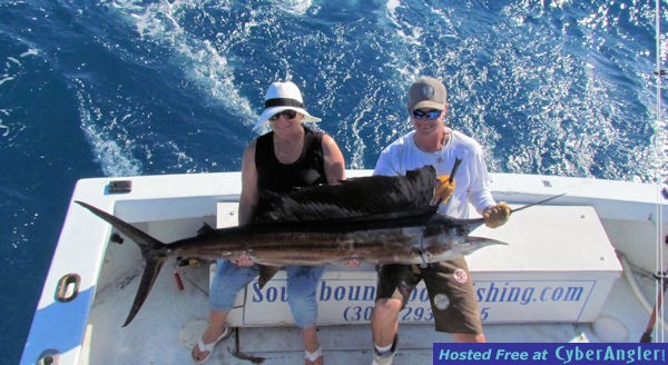 27_Sailfish