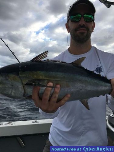 Click to Enlarge Photo