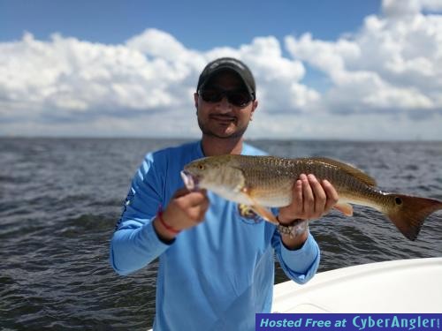 Click to Enlarge Photo