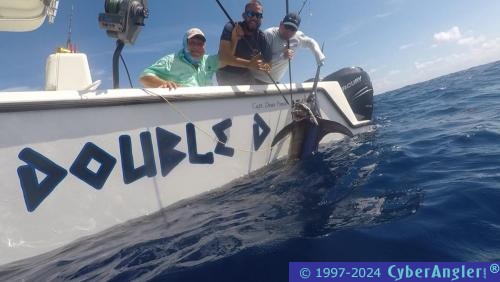 Click to Enlarge Photo