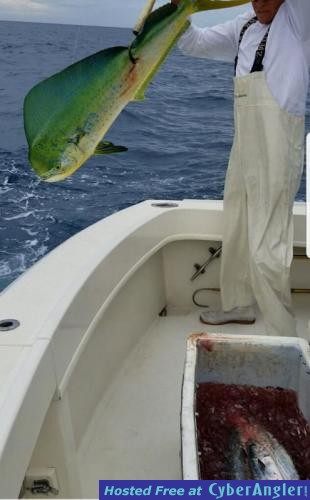 Click to Enlarge Photo