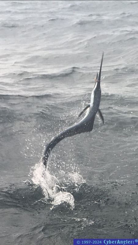 Fishing Stuart, FL