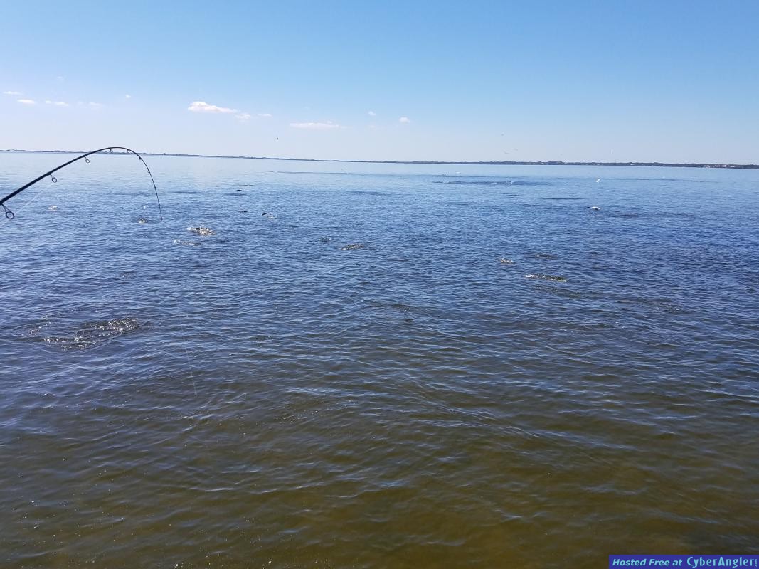 Fall_fishing_clearwater_harbour