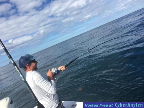 Click to Enlarge Photo