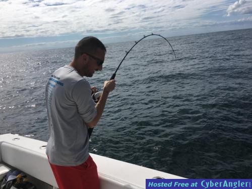 Click to Enlarge Photo