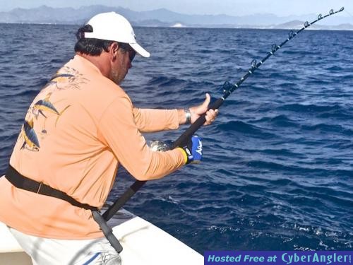 Click to Enlarge Photo