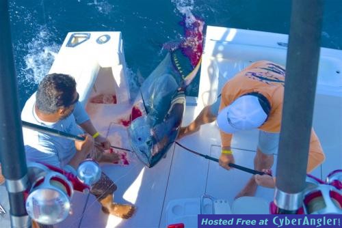 Click to Enlarge Photo