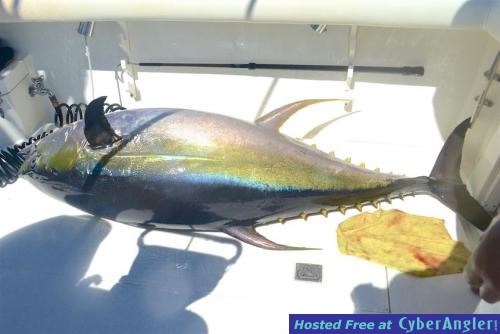 Click to Enlarge Photo