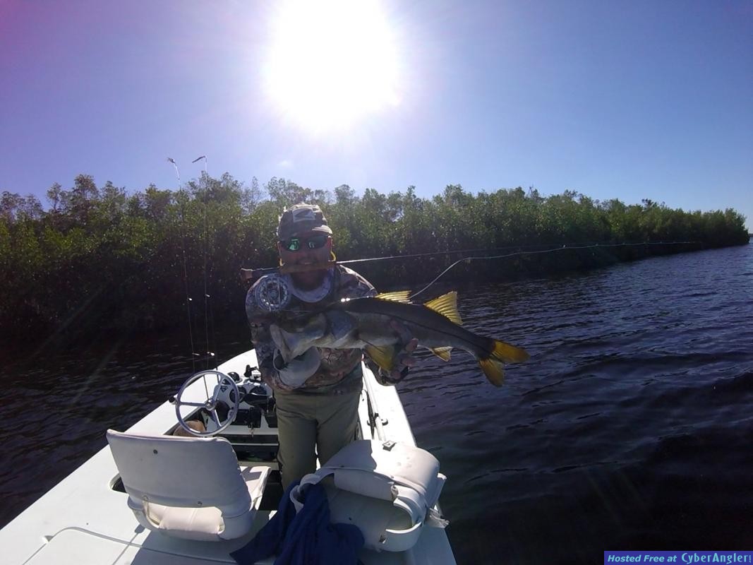 Snook_3