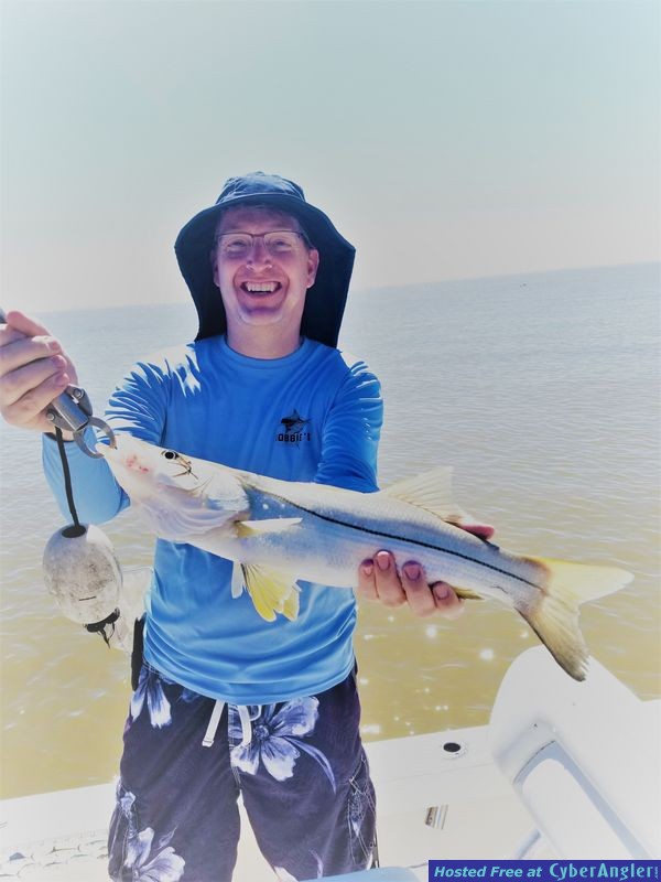 Click to Enlarge Photo