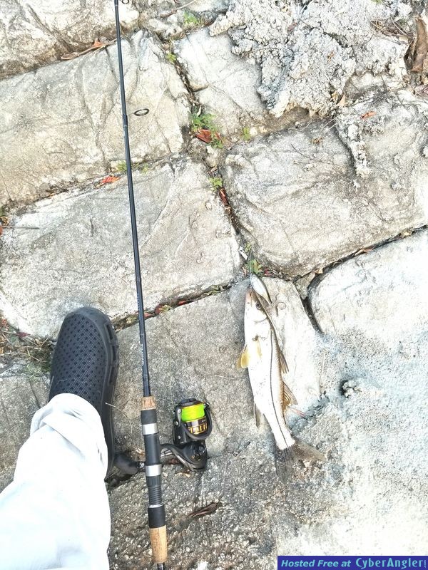 Click to Enlarge Photo