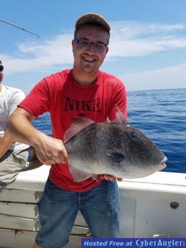 Click to Enlarge Photo