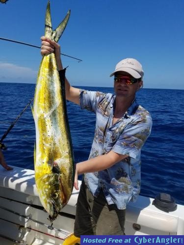 Click to Enlarge Photo